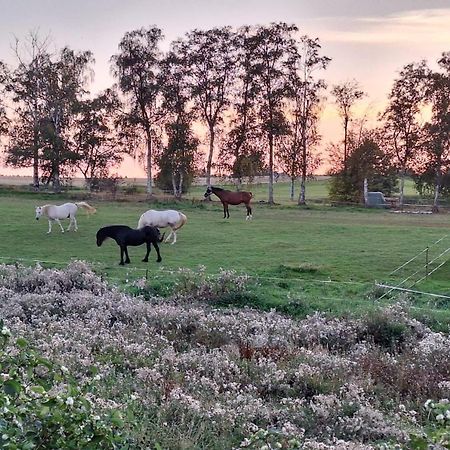 Js Feriendomizile Haus Abendrot Villa Hasselfelde Eksteriør billede